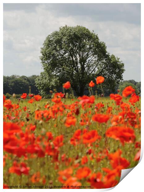 Wind blown poppies and tree Print by Simon Johnson