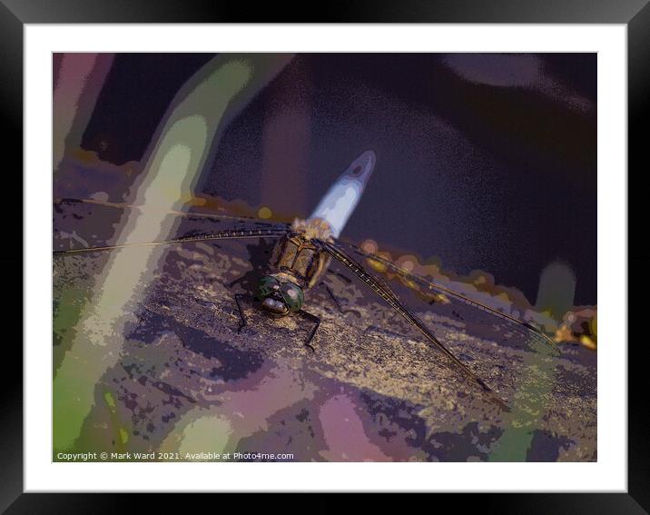 Otherworldly Dragonfly Framed Mounted Print by Mark Ward