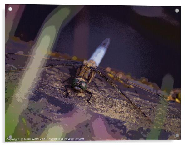 Otherworldly Dragonfly Acrylic by Mark Ward