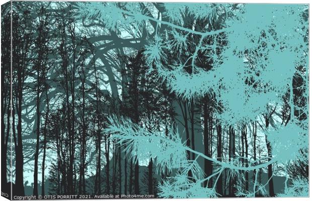 INTO THE FOREST 16 Canvas Print by OTIS PORRITT