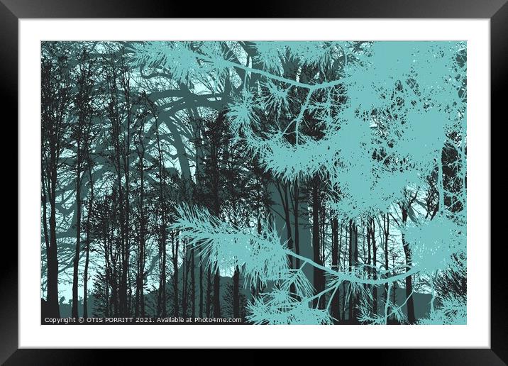 INTO THE FOREST 16 Framed Mounted Print by OTIS PORRITT