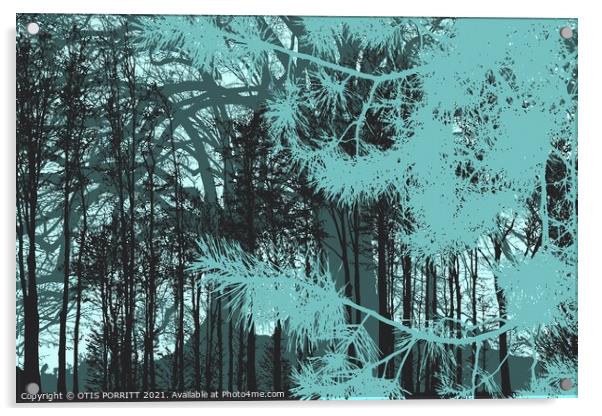 INTO THE FOREST 16 Acrylic by OTIS PORRITT