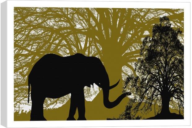INTO THE FOREST ELEPHANT Canvas Print by OTIS PORRITT