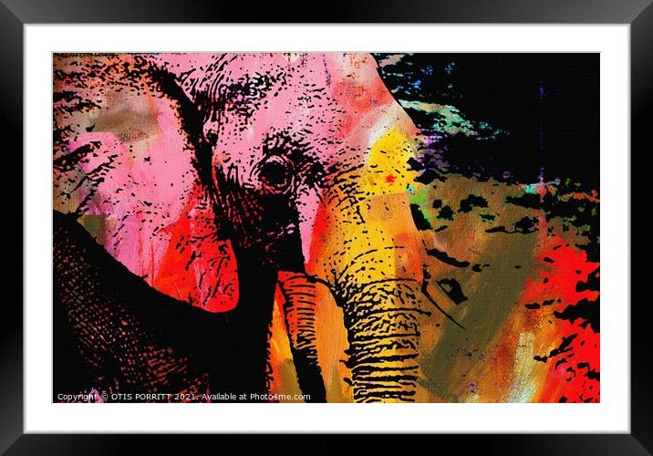 THE LAST ELEPHANT Framed Mounted Print by OTIS PORRITT