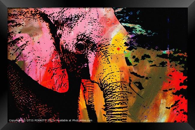 THE LAST ELEPHANT Framed Print by OTIS PORRITT