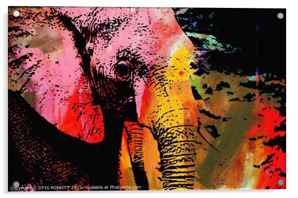THE LAST ELEPHANT Acrylic by OTIS PORRITT