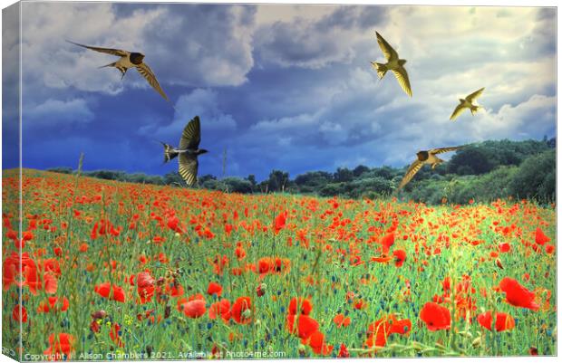 Swallows Canvas Print by Alison Chambers