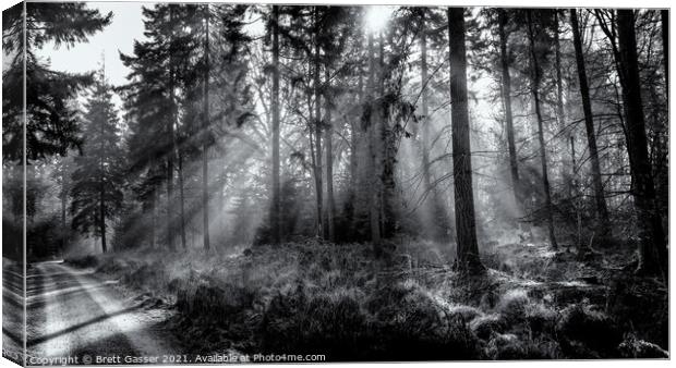New Forest Misty Rays Canvas Print by Brett Gasser