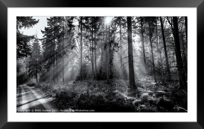 New Forest Misty Rays Framed Mounted Print by Brett Gasser