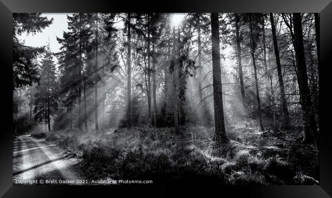 New Forest Misty Rays Framed Print by Brett Gasser
