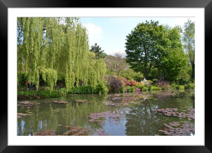 Monet's Garden Framed Mounted Print by John Bridge