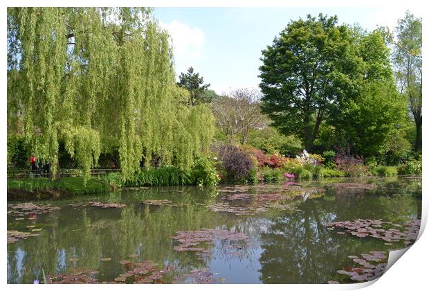 Monet's Garden Print by John Bridge