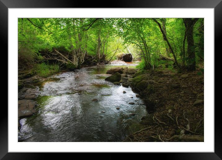 river crossing a beautiful enchanted forest Framed Mounted Print by David Galindo