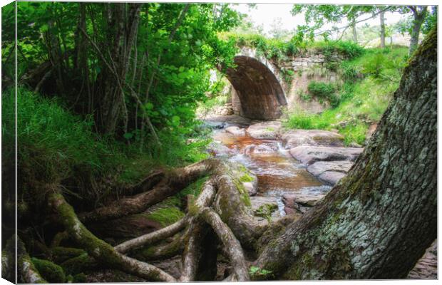 ancient roman stone bridge over the river in the middle of the forest Canvas Print by David Galindo