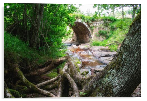 ancient roman stone bridge over the river in the middle of the forest Acrylic by David Galindo