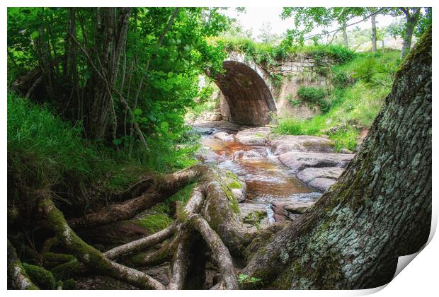ancient roman stone bridge over the river in the middle of the forest Print by David Galindo