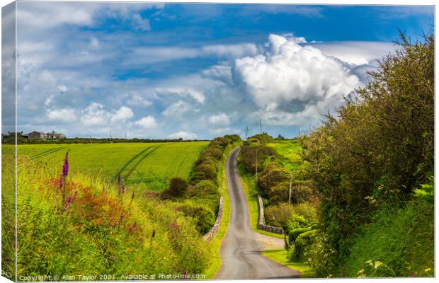 Country Lane near St Davids, Pembrokeshire Canvas Print by Alan Taylor