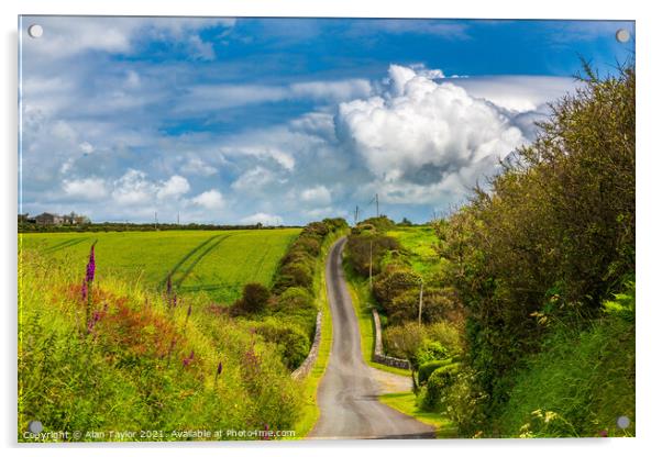 Country Lane near St Davids, Pembrokeshire Acrylic by Alan Taylor