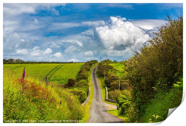 Country Lane near St Davids, Pembrokeshire Print by Alan Taylor