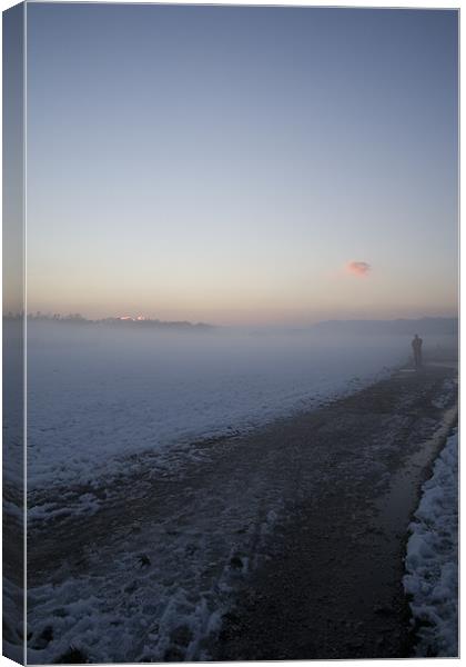 Icy mist Canvas Print by Ian Middleton