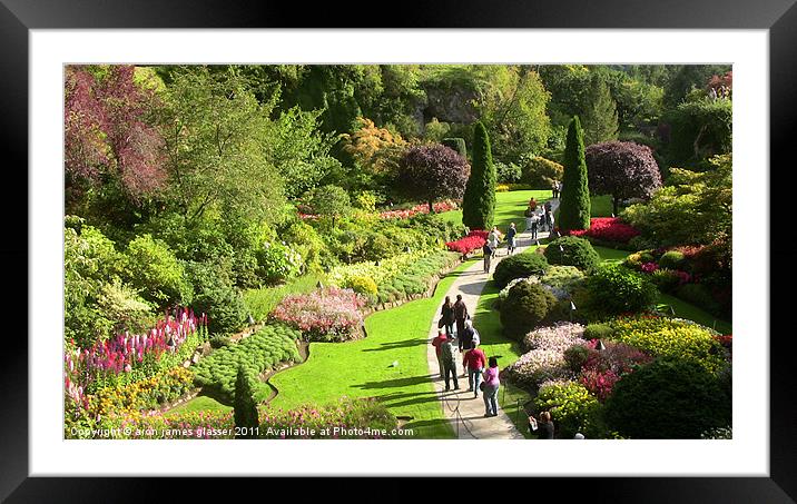 the butchant gardens Framed Mounted Print by aron james glasser