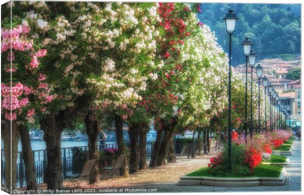 Bellagio in Bloom Canvas Print by Philip Baines
