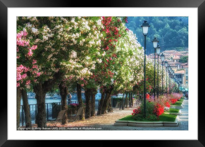 Bellagio in Bloom Framed Mounted Print by Philip Baines