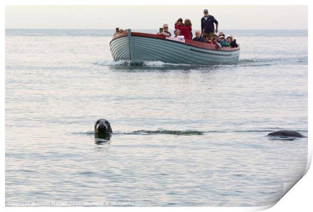 Seal watching in Norfolk, UK Print by David Mather