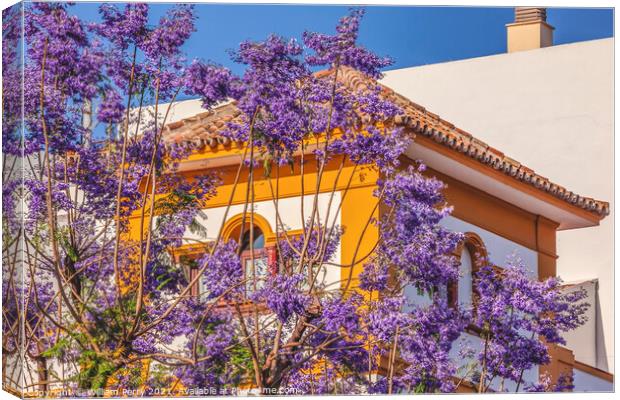 Colorful Jacaranda Flowers Yellow White Buildings Seville Spain Canvas Print by William Perry