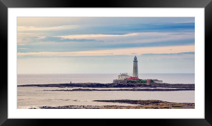 Sunrise at St Mary's Lighthouse  Framed Mounted Print by Janet Carmichael