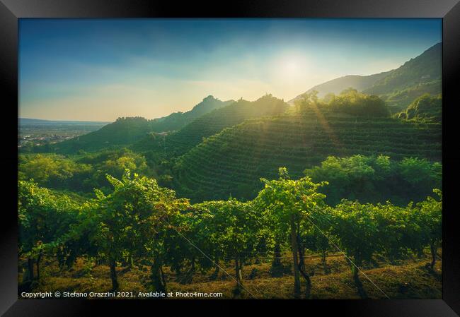 Prosecco Vineyards and Setting Sun. Italy Framed Print by Stefano Orazzini