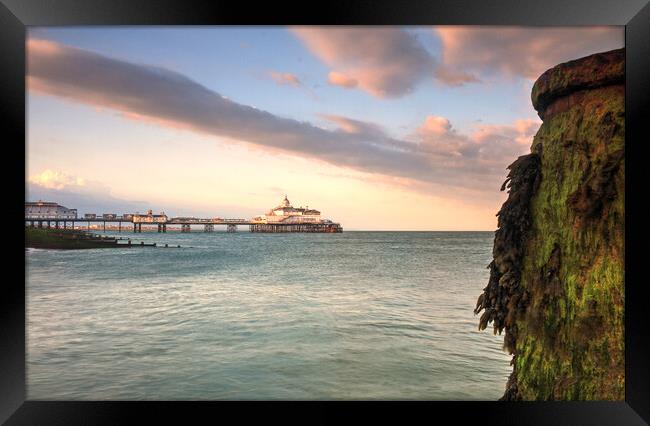 Eastbourne Pier At Sunset Framed Print by Craig Williams