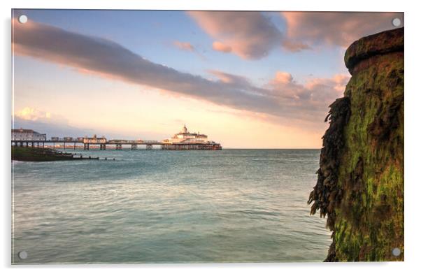 Eastbourne Pier At Sunset Acrylic by Craig Williams