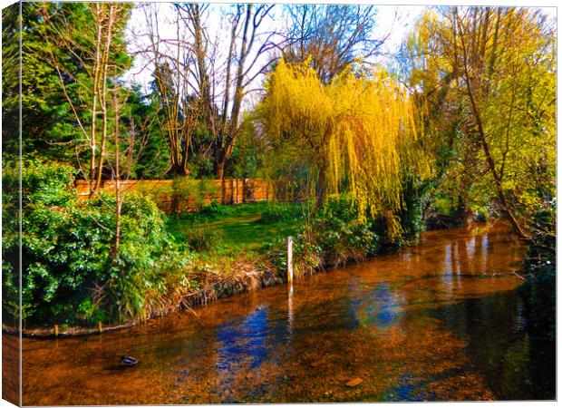 The River Canvas Print by Simon Hill