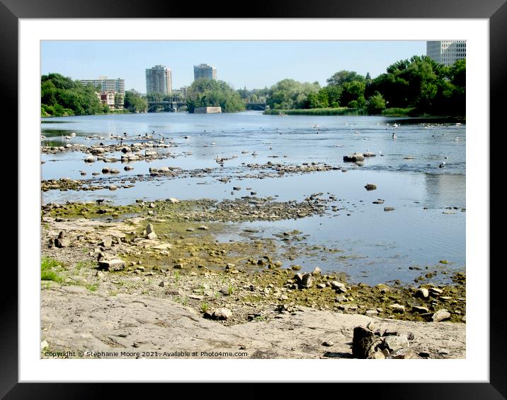 Shrinking Rideau River Framed Mounted Print by Stephanie Moore
