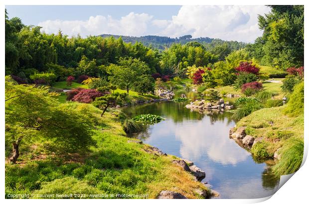 Japanese garden and nature  Print by Laurent Renault