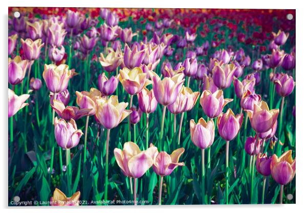 Surreal purple tulip field Acrylic by Laurent Renault