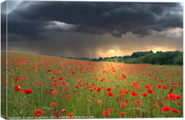 Poppy Field Storm Canvas Print by Alison Chambers