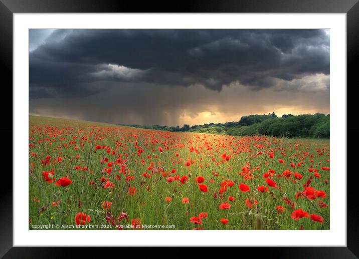 Poppy Field Storm Framed Mounted Print by Alison Chambers