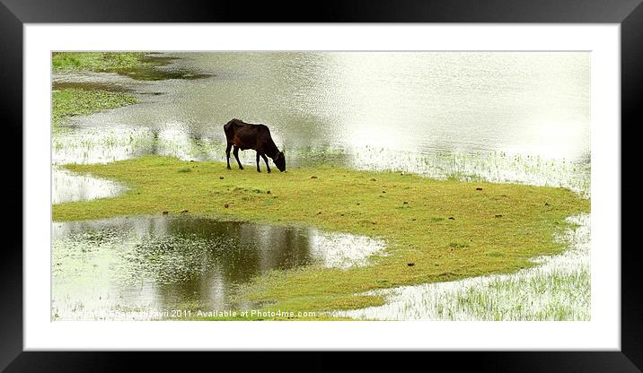 Monsoon Framed Mounted Print by Bhagwat Tavri