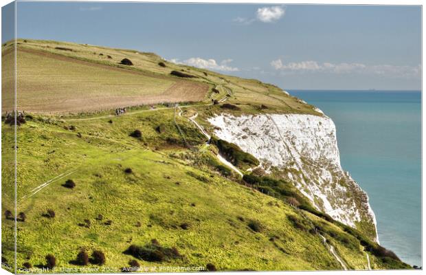 Dover White Cliffs  Canvas Print by Diana Mower