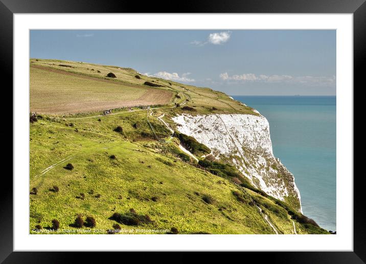 Dover White Cliffs  Framed Mounted Print by Diana Mower
