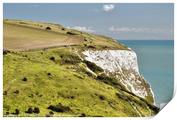 Dover White Cliffs  Print by Diana Mower