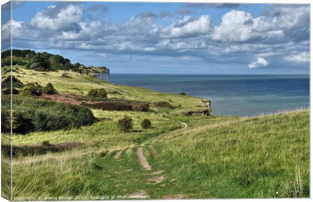 Dover Cliff top footpath Kent Canvas Print by Diana Mower