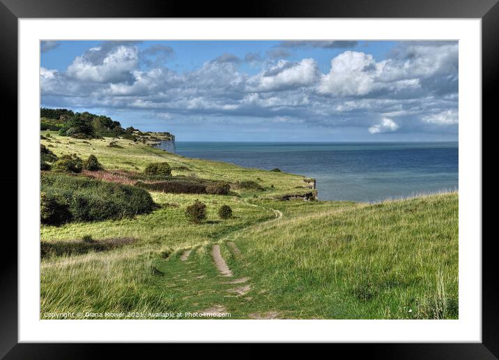 Dover Cliff top footpath Kent Framed Mounted Print by Diana Mower