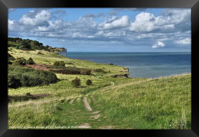 Dover Cliff top footpath Kent Framed Print by Diana Mower