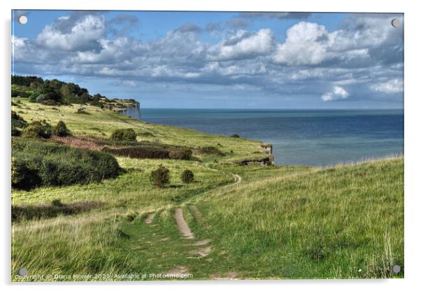Dover Cliff top footpath Kent Acrylic by Diana Mower