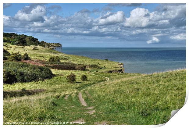 Dover Cliff top footpath Kent Print by Diana Mower