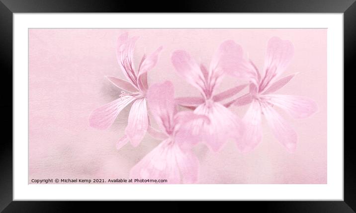 Pretty in pink Framed Mounted Print by Michael Kemp
