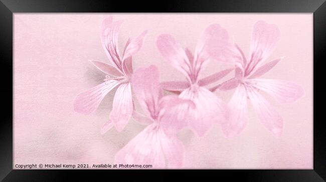 Pretty in pink Framed Print by Michael Kemp